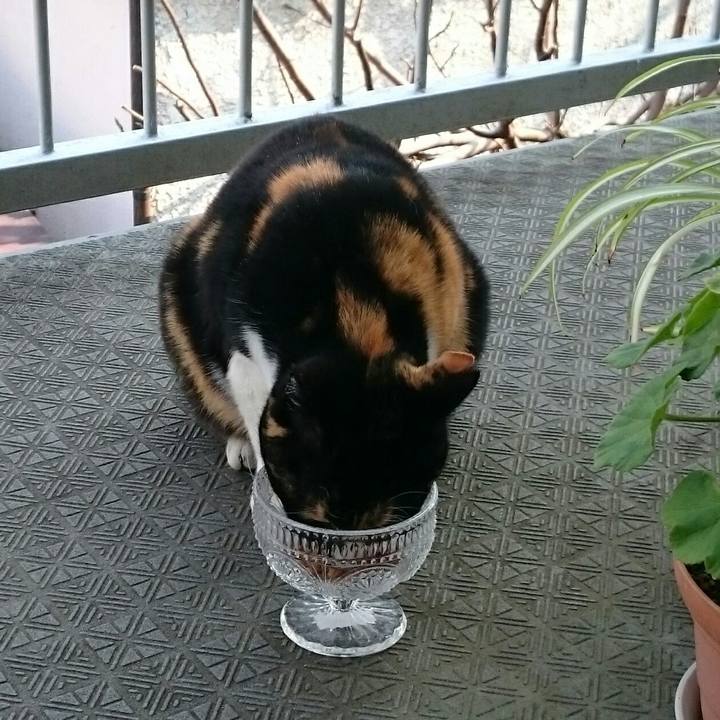 4a71951b b839 426b b7b8 4757d9e33e87