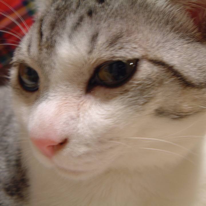 4a71f4f1 f8c7 4465 8a0c 072ff279e53f