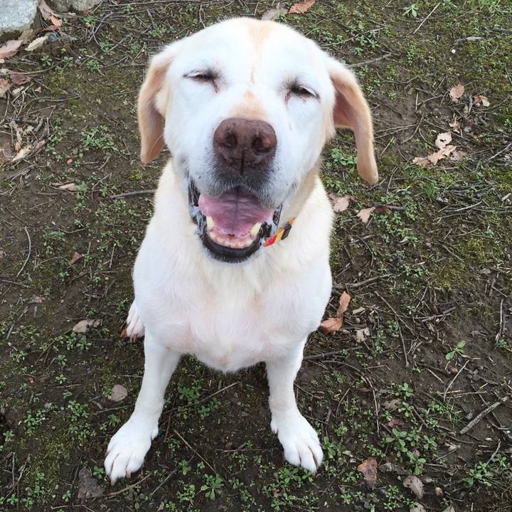 4a731151 64af 4b6f 855a 9f1431c364af