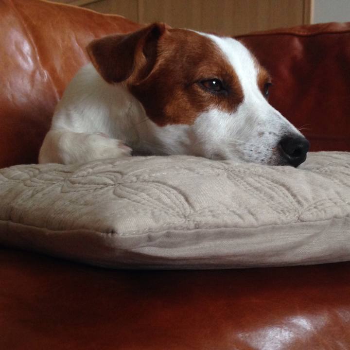 4a739f70 e79c 4812 a7c2 3f9a1273bf18