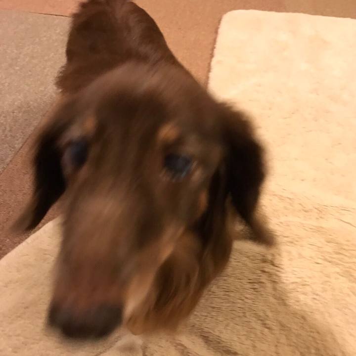 4a73bb6c 9c08 422a 90e2 ff3ef81f616a