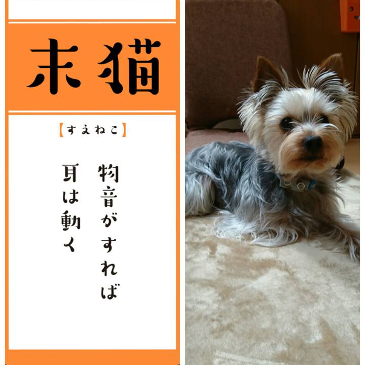 4a73bf19 edec 40e8 8f22 60213d5e6869