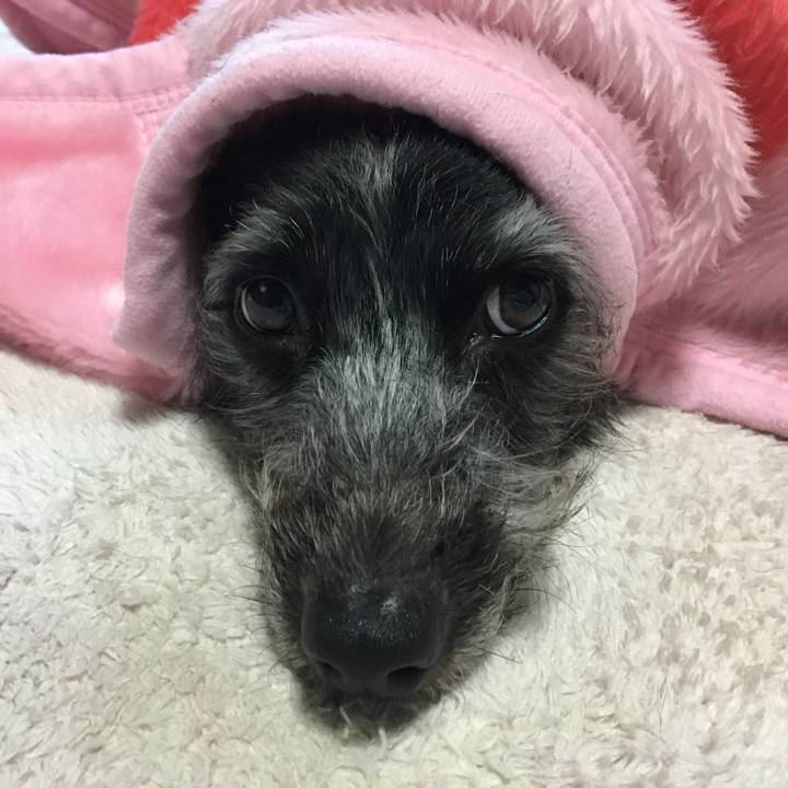 4a73e321 1588 49ea 90dc de34f92a41a5