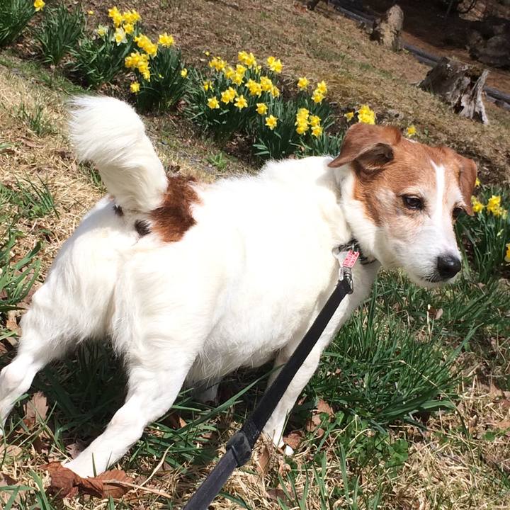 4a73e914 e6e4 4790 98b9 553c03fa5b90