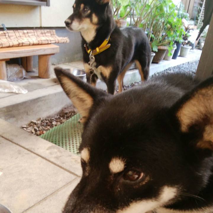 4a74138b 722a 4ed5 8a75 2eef97aa4da5