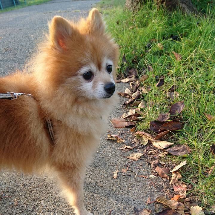 4a747de3 a9fe 4762 a6d5 7e3dbb9e6bc8