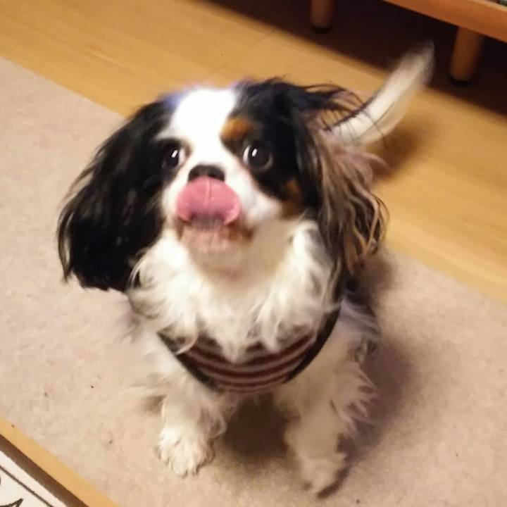 4a74b75c 5c1a 4ff1 b0c6 fa6b7c422a80