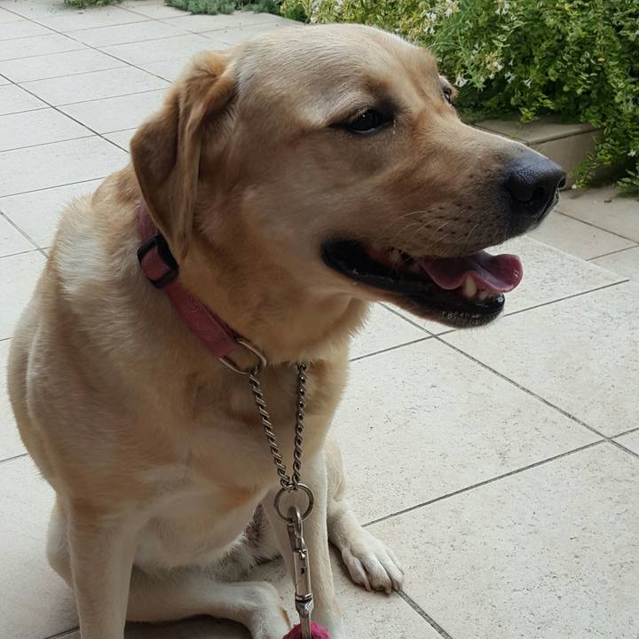 4a753b1d eeab 4d29 a6ec 22adfea725f0