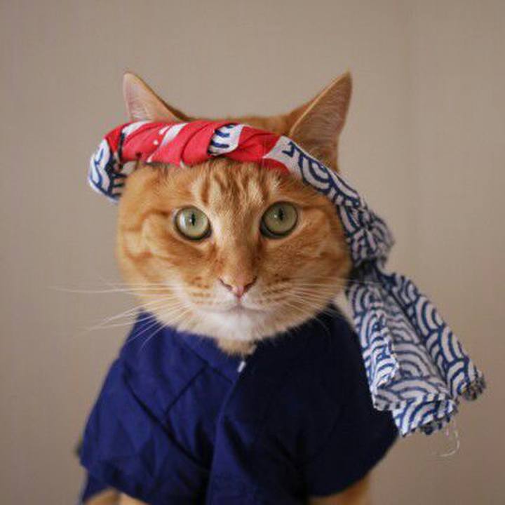 4a75dd99 7e4d 402a b91c 3c9d1006daab