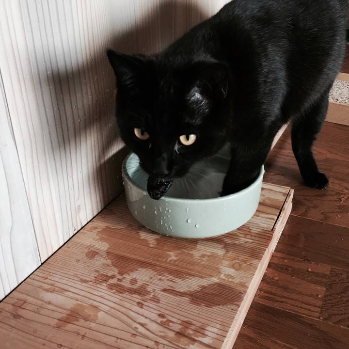 4a784a92 4495 4a24 b2cb f8a6bfdd9c57