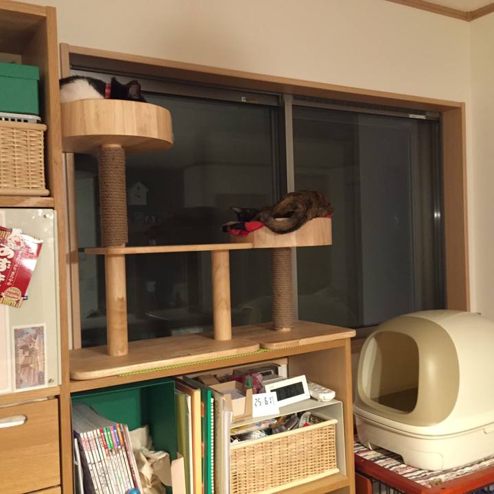 4a78b34a 84dc 4642 8910 34d371b1d064