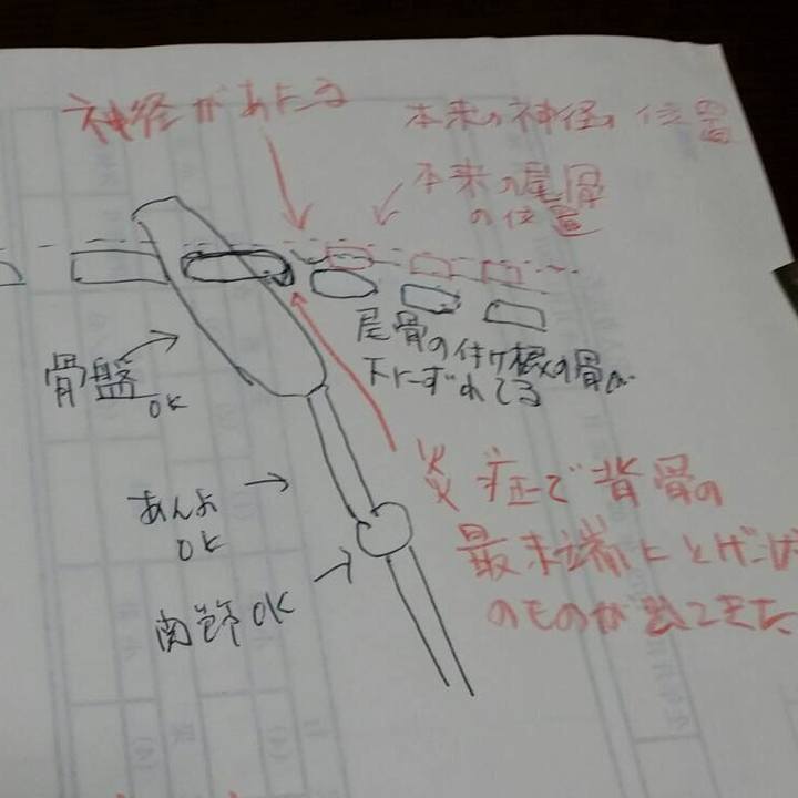 4a78bd13 af98 4984 9473 a2c4b66590ed
