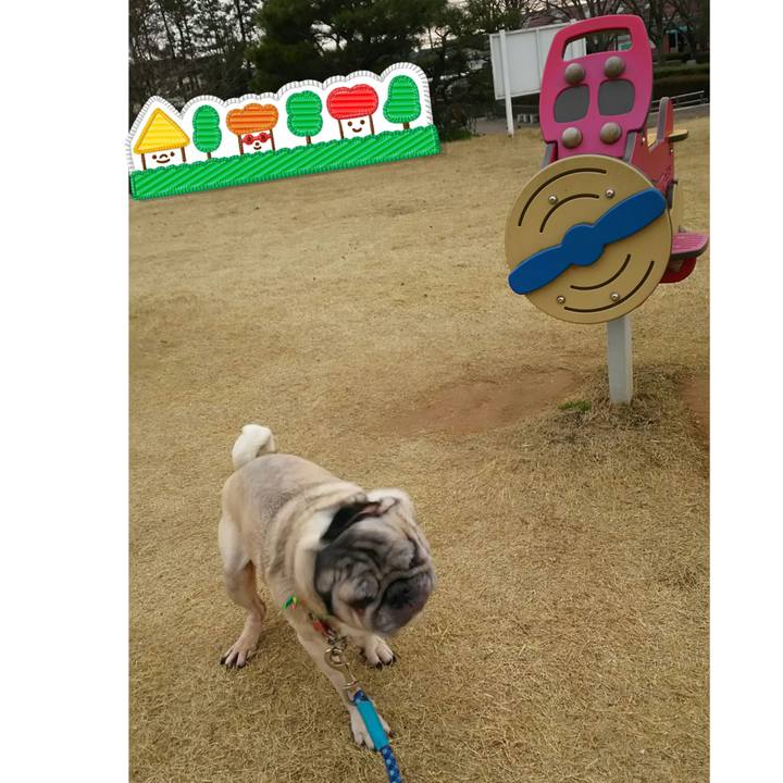 4a799aa4 a435 46b1 bea5 5aec4753da87