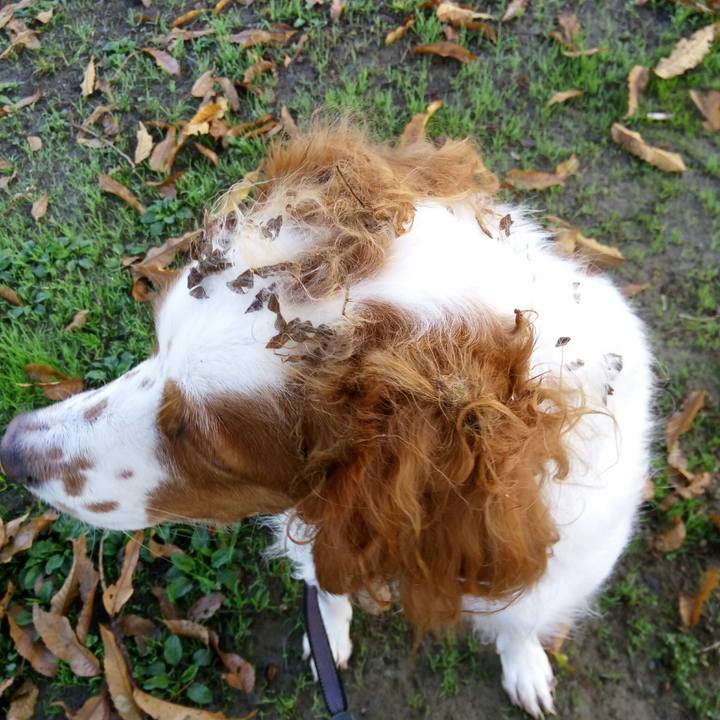 4a79b8c2 89fe 4507 a59d 2851e174ee71