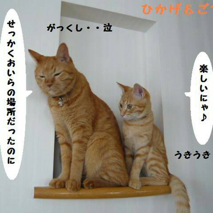 4a79d188 77bb 40b1 b0c6 24daa3b11644