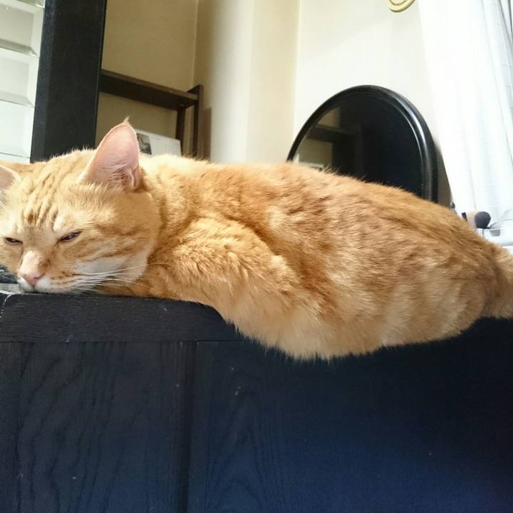 4a7a15be acd5 4fbf ae83 f19102a4387b