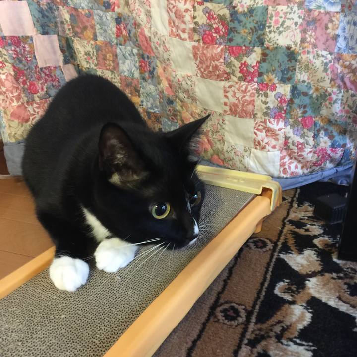 4a7a9ce1 2cb8 4cdb abdc 6812c1fb9611