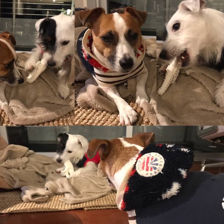 4a7b1fb5 3184 40b4 98ba 79354a50e98d