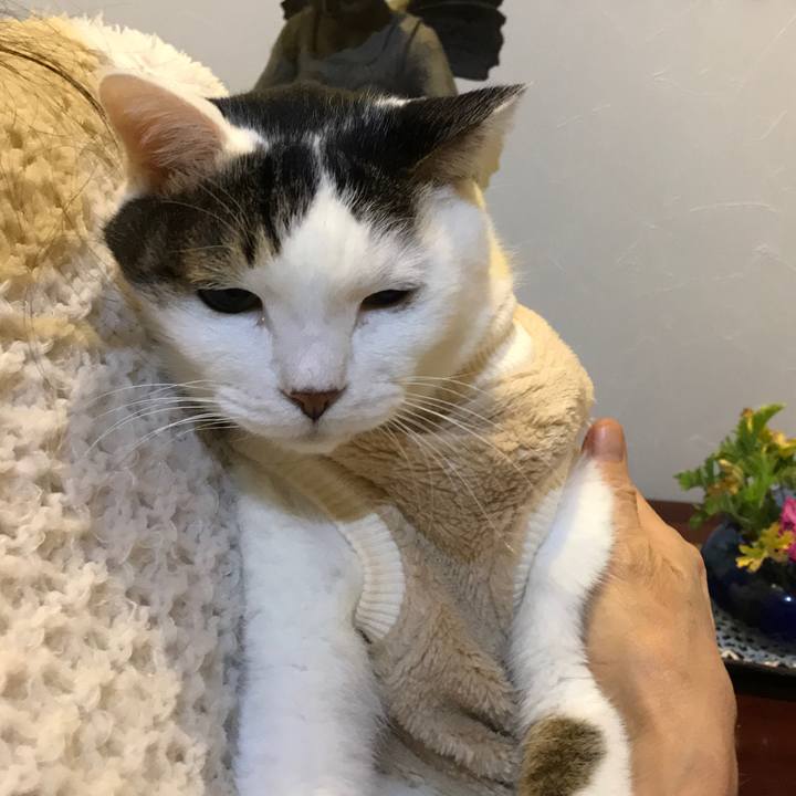 4a7b7062 e88d 4bcb b4f2 5a0af80996e0