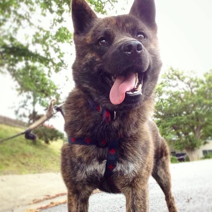 4a7b78f0 05ca 4f82 852a f0d9be9a7dff