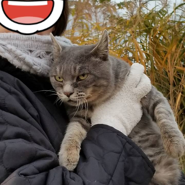 4a7bc844 40a8 4d2b bfbe 8a0761626b4b