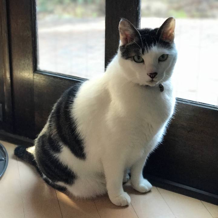 4a7c0ebc 3c34 471d 8a8f a9d3b09cd64a