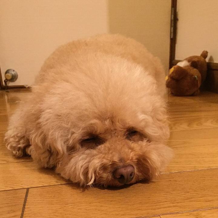 4a7c5ec8 bfc5 4e5f bc22 01227b24f513