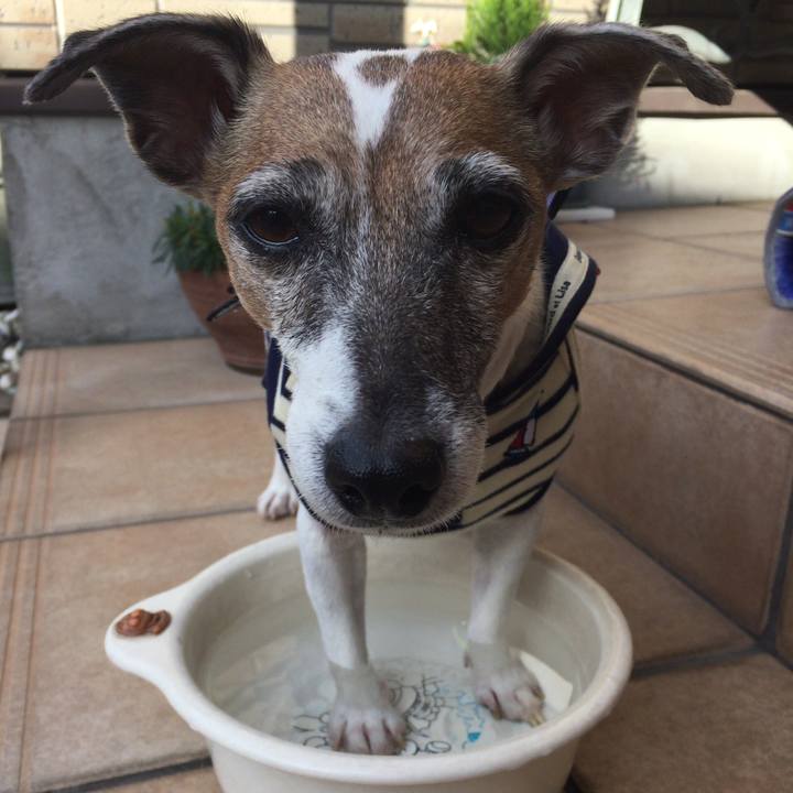 4a7cc2d0 fd9d 4d5b 9ad6 db43d4657bc9