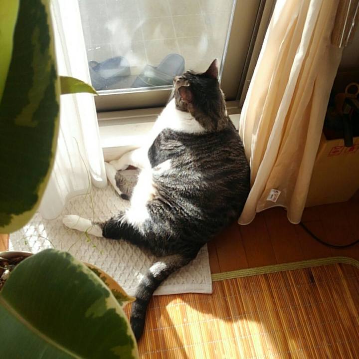 4a7cf119 5e77 427b bd25 82f9d21dae27