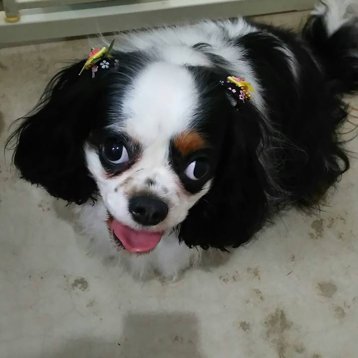 4a7d1c5a bee4 4ad5 8cf1 12783b2a726c