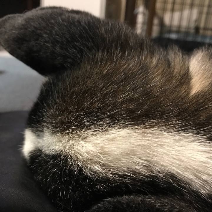 4a7d6eac 4210 4e20 90a3 cfeea9e48b25