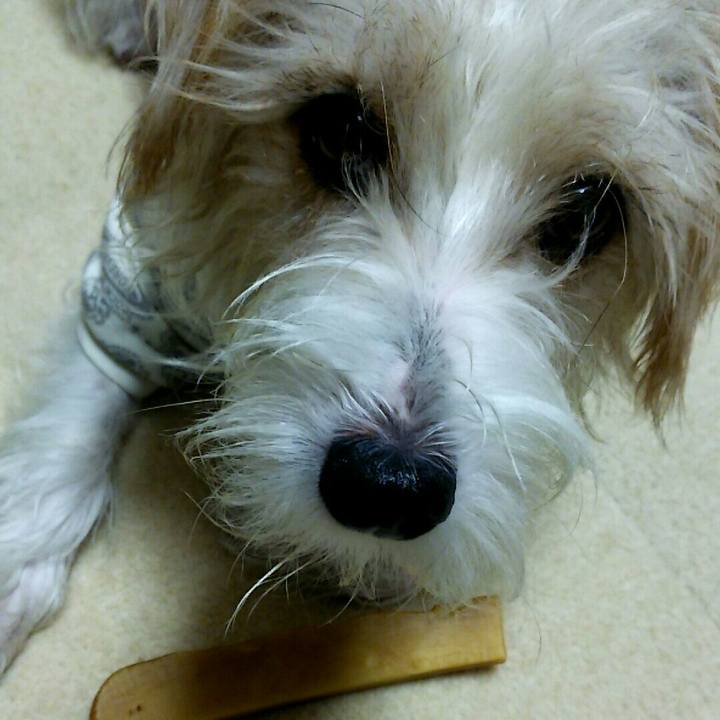 4a7df0bb 2543 4b45 b3f9 07cade37a1f0