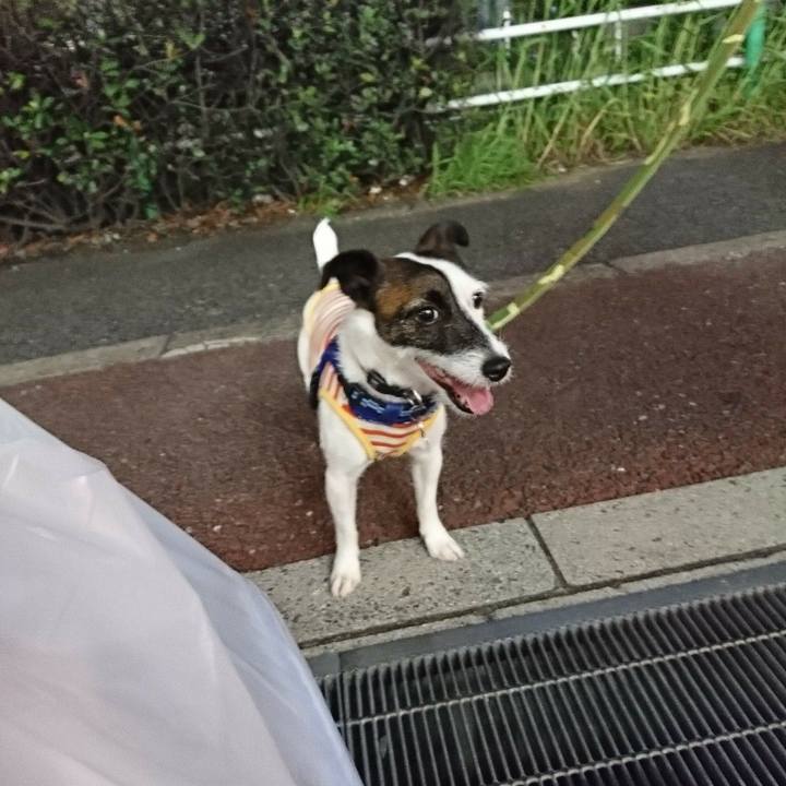 4a7e36d2 ef7a 47a6 9672 ce5804f32bc9