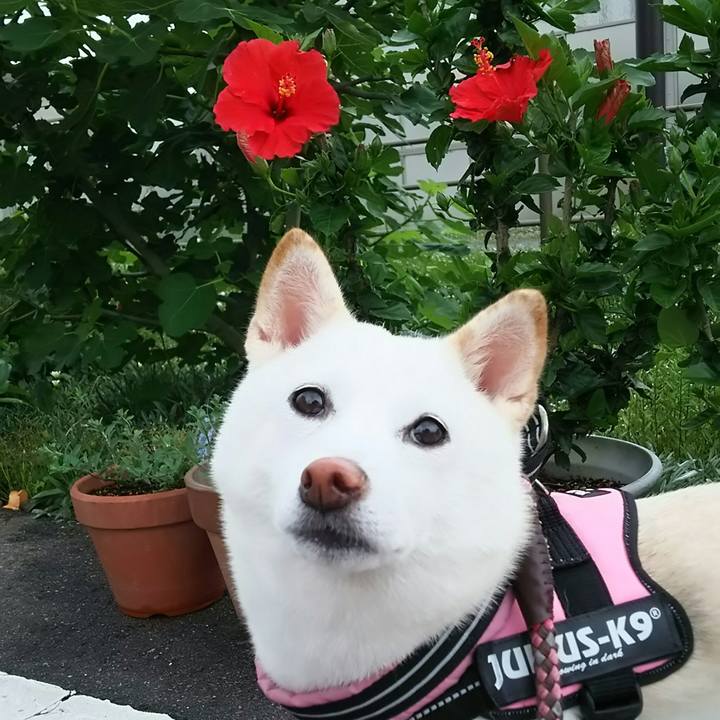 4a7e514a 23ad 4a17 b303 557bbc0fdcd9