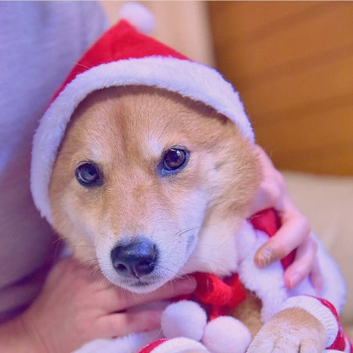 4a7e880b 1ef9 42c1 a660 624220256050