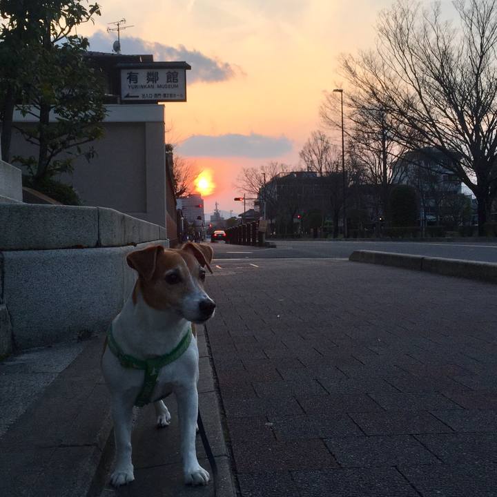 4a7f198d 0a59 4f44 acee 36fd0c694992