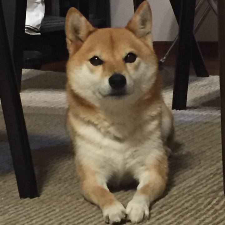 4a814e73 de5d 4885 bec4 969d8790b249