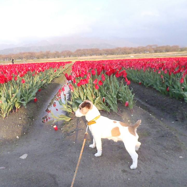 4a81b025 64b0 40b1 8f57 e51e7a70b3f7