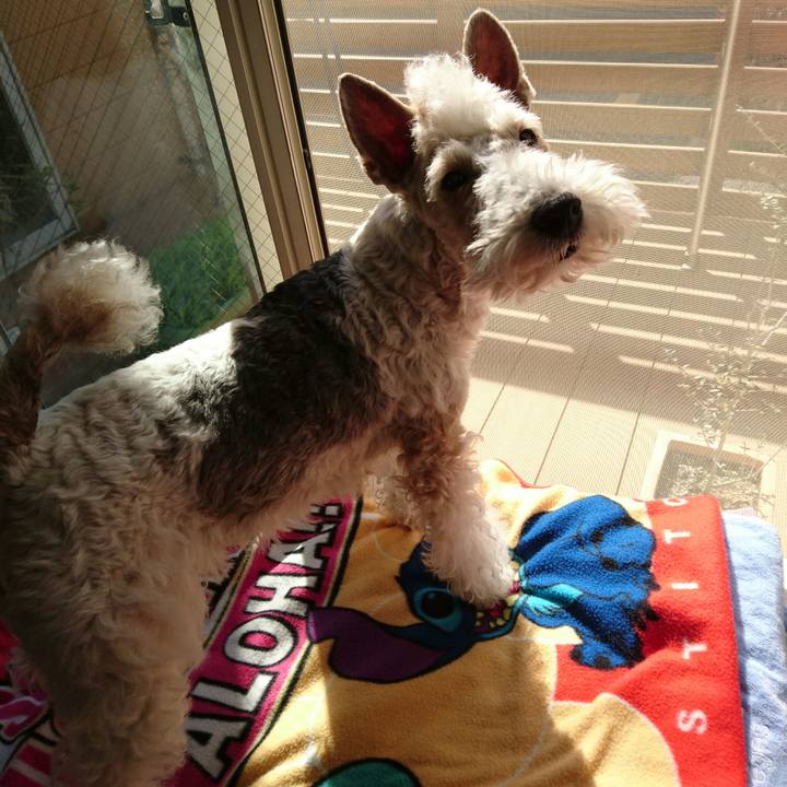 4a82ca61 1c66 494f 8581 9903fbb8a947