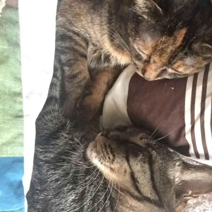 4a82ef65 dce8 4415 9109 0e3bae18467c