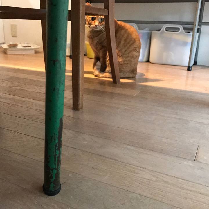 4a82f1bf 31d4 413b aac7 cbd210abd1b4