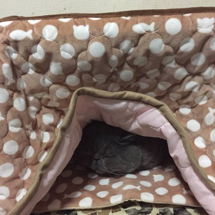 4a8324bc ede6 4491 8ba8 380e62c2395b