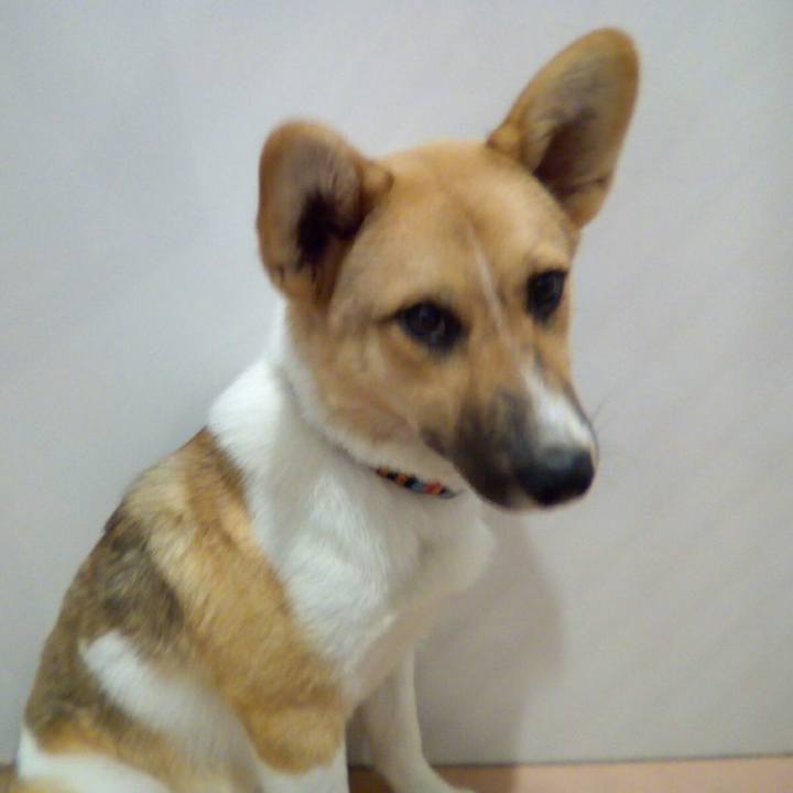 4a835213 d17d 479c b90c aa11731b0043