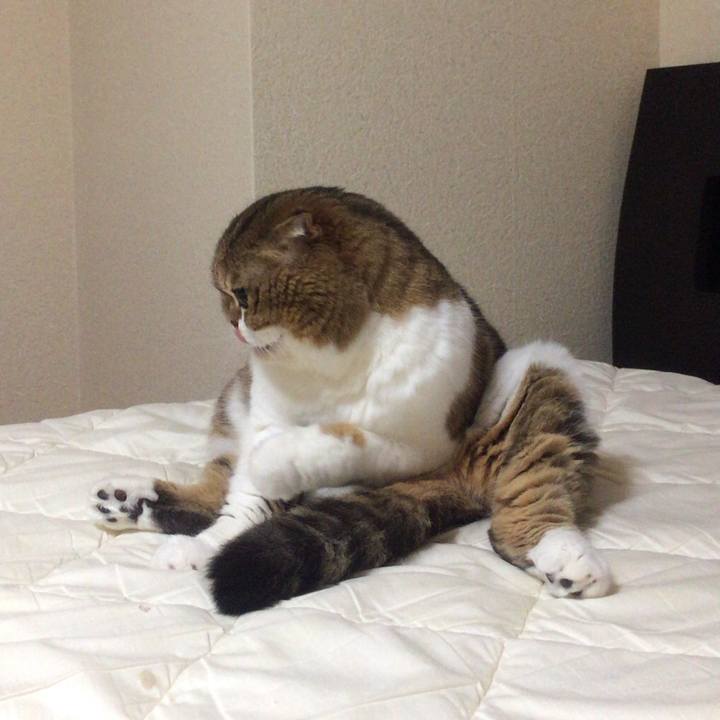 4a837a2d b526 4649 ba47 49f65e6b1dbb