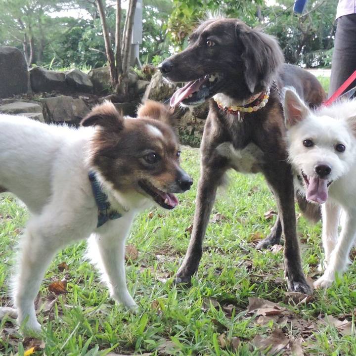 4a838af6 e526 4b7c a1ba 0fe69d7395b6