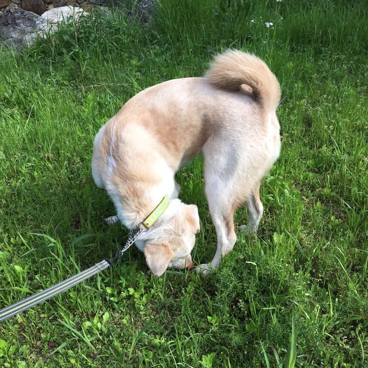 4a8394ea bc2c 424d 92f2 316ac52de136