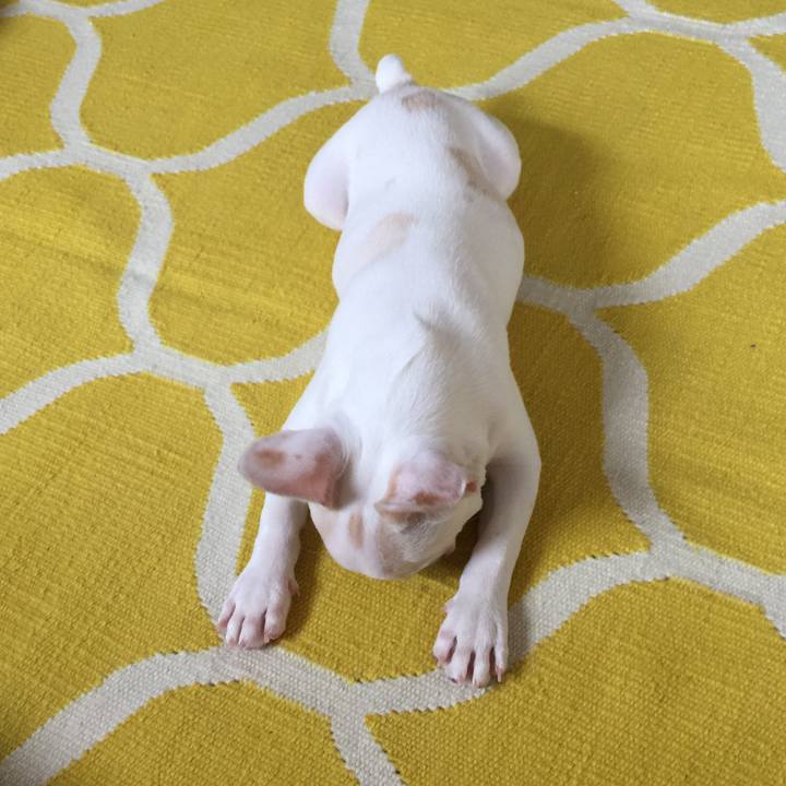 4a83e5d8 4f3f 4b9c 9d59 cc77387047c3