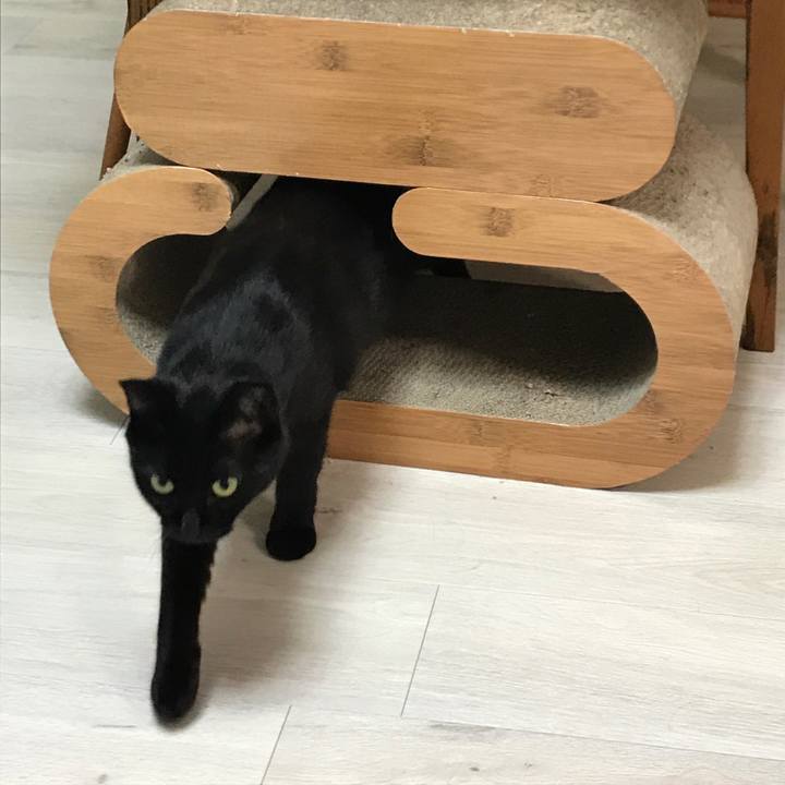 4a83f921 c805 4322 b8b3 5b6922d4e2bc