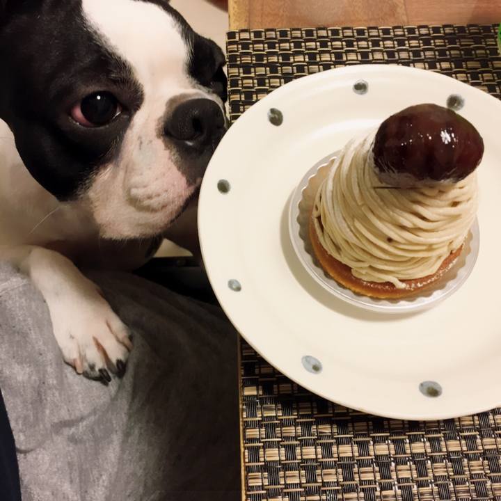 4a844e23 654a 44be b99c e8b30fede5a1