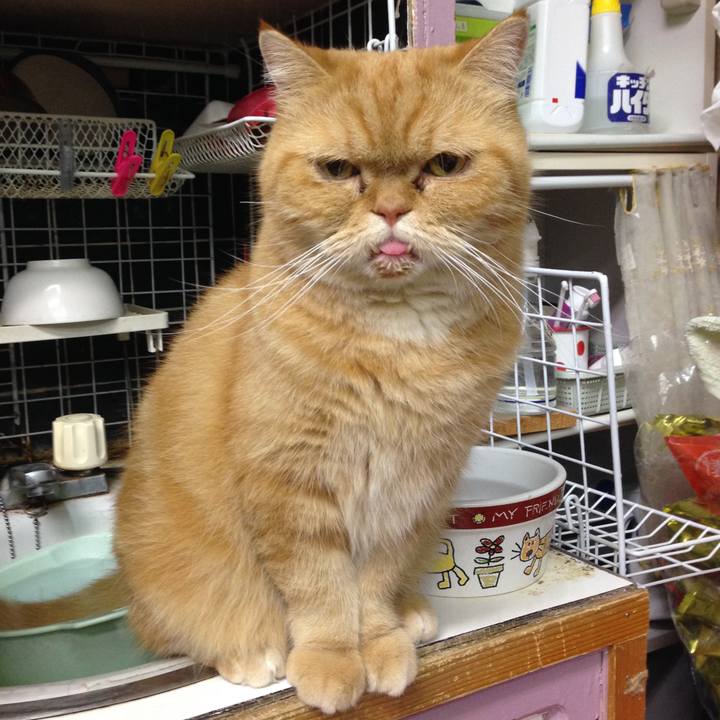 4a84a400 4781 476f 8715 5ef1415a8544